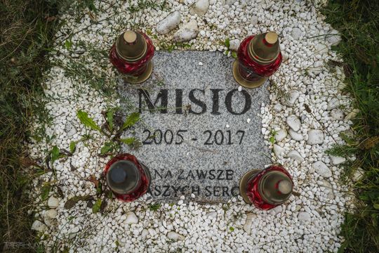 Pamiętajmy także o naszych czworonożnych przyjaciołach. Odwiedzamy cmentarz dla zwierząt w Gdańsku