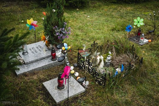 Pamiętajmy także o naszych czworonożnych przyjaciołach. Odwiedzamy cmentarz dla zwierząt w Gdańsku