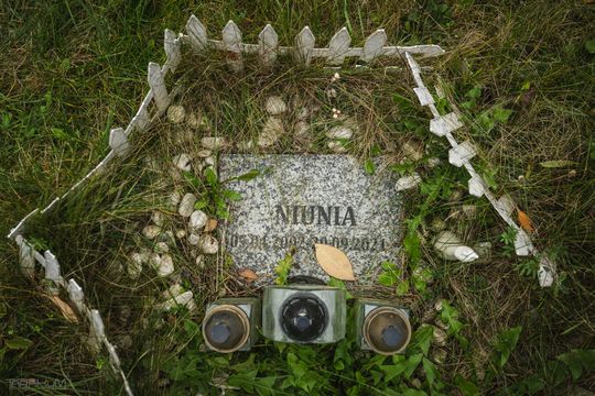Pamiętajmy także o naszych czworonożnych przyjaciołach. Odwiedzamy cmentarz dla zwierząt w Gdańsku