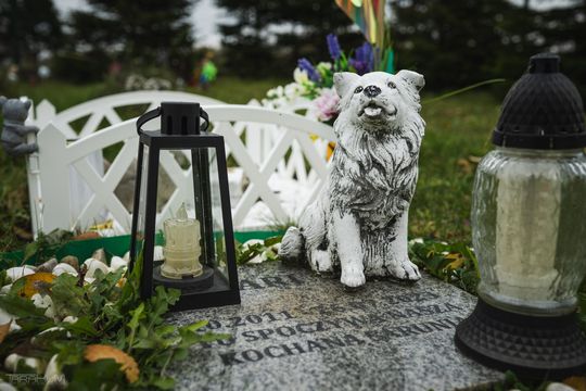 Pamiętajmy także o naszych czworonożnych przyjaciołach. Odwiedzamy cmentarz dla zwierząt w Gdańsku