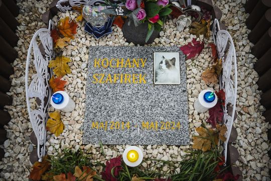 Pamiętajmy także o naszych czworonożnych przyjaciołach. Odwiedzamy cmentarz dla zwierząt w Gdańsku