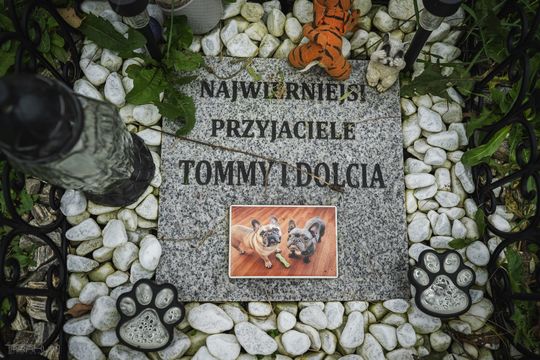 Pamiętajmy także o naszych czworonożnych przyjaciołach. Odwiedzamy cmentarz dla zwierząt w Gdańsku