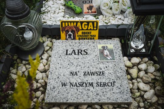 Pamiętajmy także o naszych czworonożnych przyjaciołach. Odwiedzamy cmentarz dla zwierząt w Gdańsku