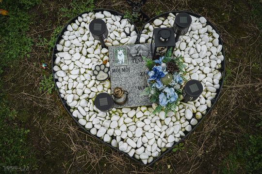 Pamiętajmy także o naszych czworonożnych przyjaciołach. Odwiedzamy cmentarz dla zwierząt w Gdańsku