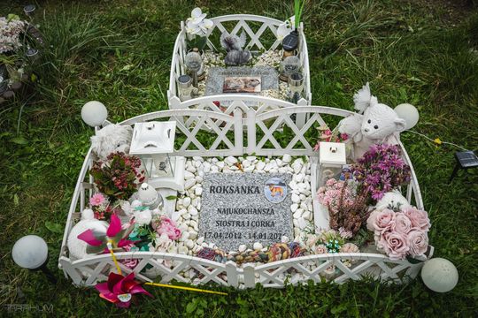 Pamiętajmy także o naszych czworonożnych przyjaciołach. Odwiedzamy cmentarz dla zwierząt w Gdańsku