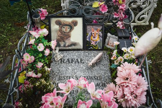 Pamiętajmy także o naszych czworonożnych przyjaciołach. Odwiedzamy cmentarz dla zwierząt w Gdańsku