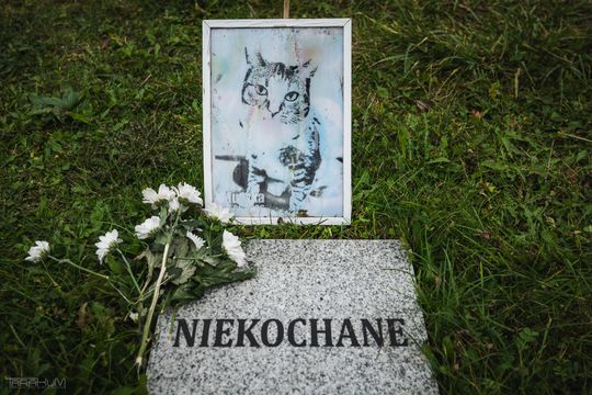 Pamiętajmy także o naszych czworonożnych przyjaciołach. Odwiedzamy cmentarz dla zwierząt w Gdańsku