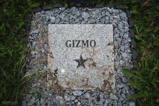 Pamiętajmy także o naszych czworonożnych przyjaciołach. Odwiedzamy cmentarz dla zwierząt w Gdańsku