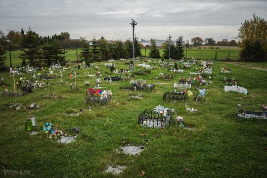 Pamiętajmy także o naszych czworonożnych przyjaciołach. Odwiedzamy cmentarz dla zwierząt w Gdańsku