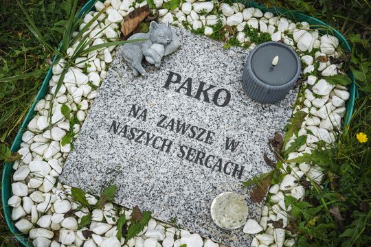 Pamiętajmy także o naszych czworonożnych przyjaciołach. Odwiedzamy cmentarz dla zwierząt w Gdańsku
