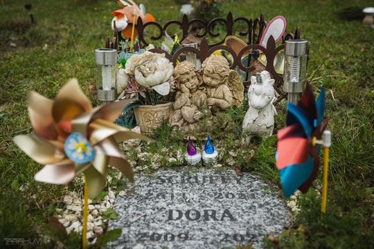 Pamiętajmy także o naszych czworonożnych przyjaciołach. Odwiedzamy cmentarz dla zwierząt w Gdańsku