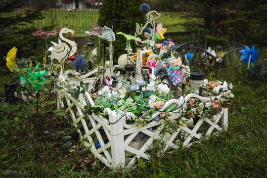 Pamiętajmy także o naszych czworonożnych przyjaciołach. Odwiedzamy cmentarz dla zwierząt w Gdańsku