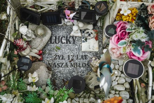 Pamiętajmy także o naszych czworonożnych przyjaciołach. Odwiedzamy cmentarz dla zwierząt w Gdańsku