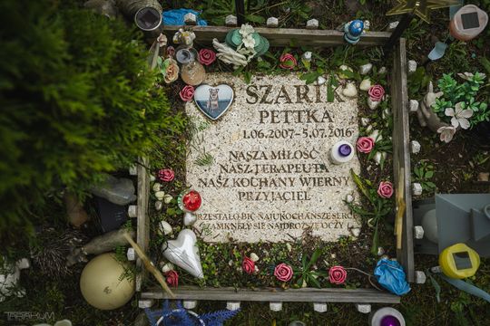 Pamiętajmy także o naszych czworonożnych przyjaciołach. Odwiedzamy cmentarz dla zwierząt w Gdańsku