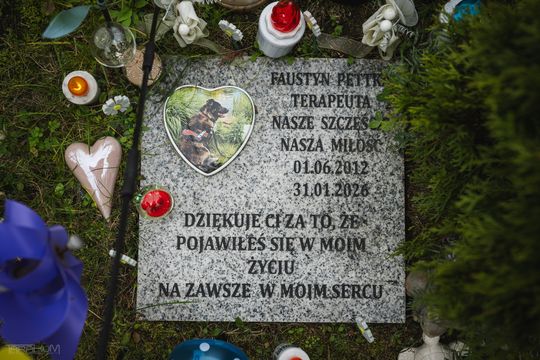 Pamiętajmy także o naszych czworonożnych przyjaciołach. Odwiedzamy cmentarz dla zwierząt w Gdańsku