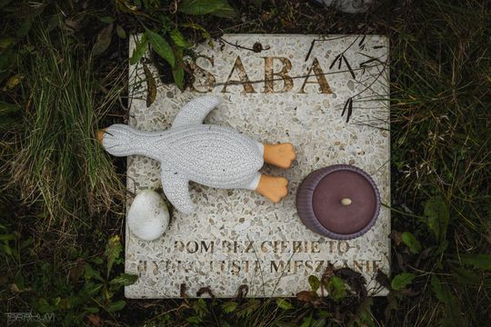 Pamiętajmy także o naszych czworonożnych przyjaciołach. Odwiedzamy cmentarz dla zwierząt w Gdańsku