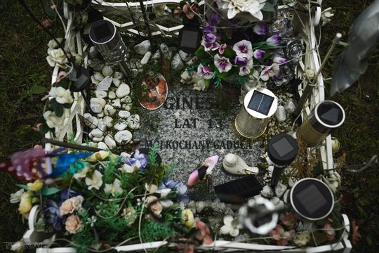 Pamiętajmy także o naszych czworonożnych przyjaciołach. Odwiedzamy cmentarz dla zwierząt w Gdańsku