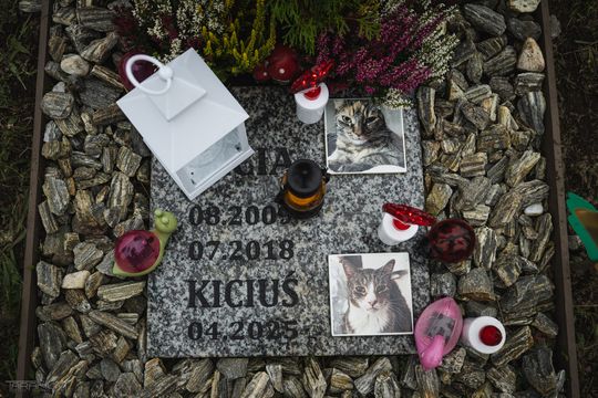 Pamiętajmy także o naszych czworonożnych przyjaciołach. Odwiedzamy cmentarz dla zwierząt w Gdańsku