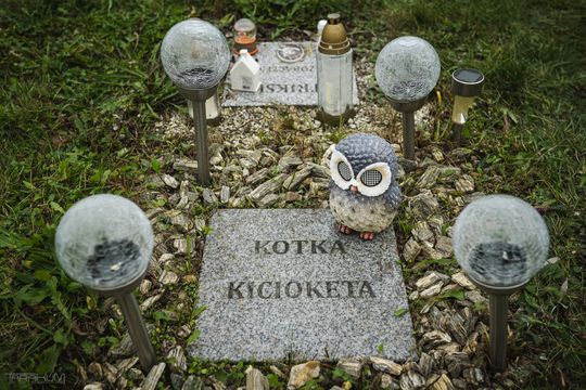 Pamiętajmy także o naszych czworonożnych przyjaciołach. Odwiedzamy cmentarz dla zwierząt w Gdańsku