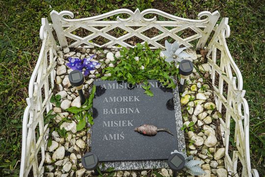 Pamiętajmy także o naszych czworonożnych przyjaciołach. Odwiedzamy cmentarz dla zwierząt w Gdańsku