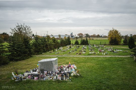 Pamiętajmy także o naszych czworonożnych przyjaciołach. Odwiedzamy cmentarz dla zwierząt w Gdańsku
