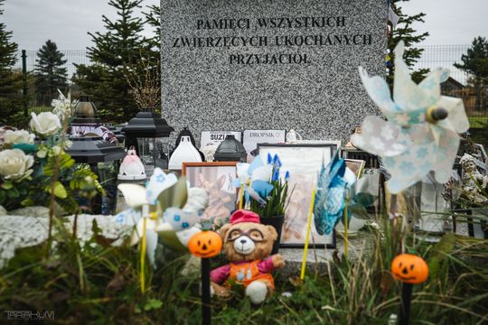 Pamiętajmy także o naszych czworonożnych przyjaciołach. Odwiedzamy cmentarz dla zwierząt w Gdańsku