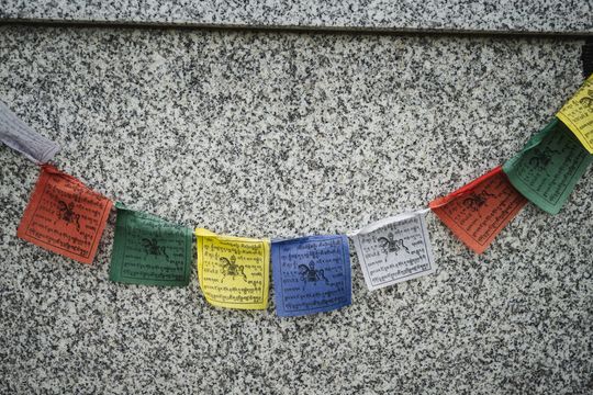 Pamiętajmy także o naszych czworonożnych przyjaciołach. Odwiedzamy cmentarz dla zwierząt w Gdańsku