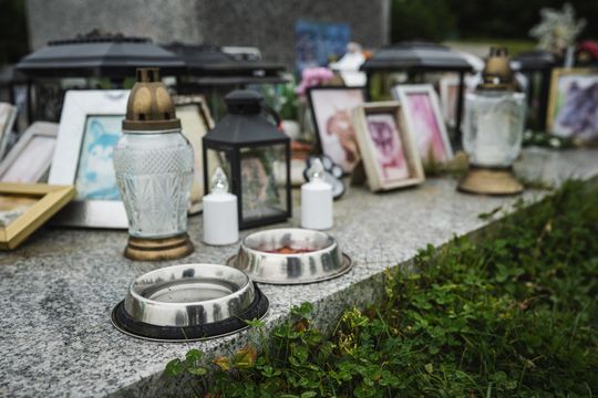Pamiętajmy także o naszych czworonożnych przyjaciołach. Odwiedzamy cmentarz dla zwierząt w Gdańsku