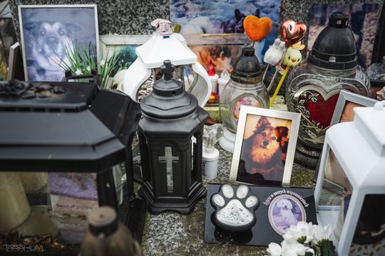 Pamiętajmy także o naszych czworonożnych przyjaciołach. Odwiedzamy cmentarz dla zwierząt w Gdańsku