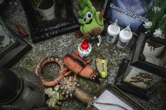 Pamiętajmy także o naszych czworonożnych przyjaciołach. Odwiedzamy cmentarz dla zwierząt w Gdańsku