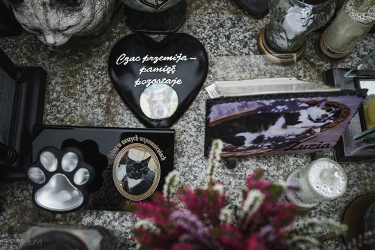 Pamiętajmy także o naszych czworonożnych przyjaciołach. Odwiedzamy cmentarz dla zwierząt w Gdańsku