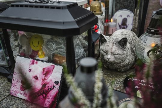 Pamiętajmy także o naszych czworonożnych przyjaciołach. Odwiedzamy cmentarz dla zwierząt w Gdańsku