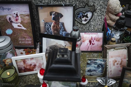 Pamiętajmy także o naszych czworonożnych przyjaciołach. Odwiedzamy cmentarz dla zwierząt w Gdańsku