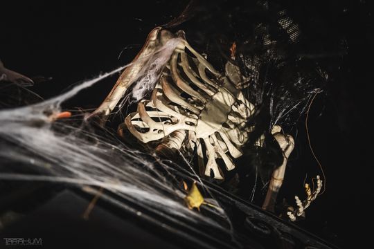 Willa Kirsch przez lata z okazji Halloween i Bożego Narodzenia