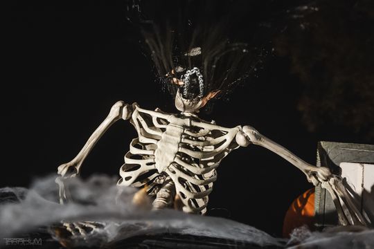 Willa Kirsch przez lata z okazji Halloween i Bożego Narodzenia
