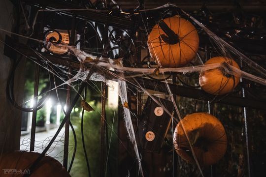 Willa Kirsch przez lata z okazji Halloween i Bożego Narodzenia