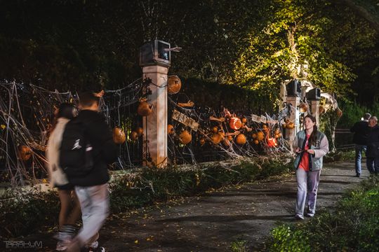 Willa Kirsch przez lata z okazji Halloween i Bożego Narodzenia
