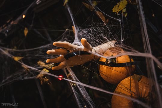 Willa Kirsch przez lata z okazji Halloween i Bożego Narodzenia