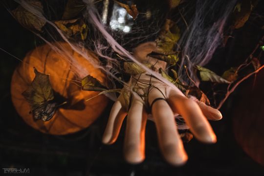 Willa Kirsch przez lata z okazji Halloween i Bożego Narodzenia