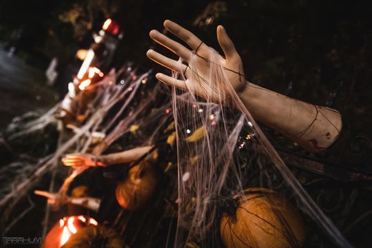 Willa Kirsch przez lata z okazji Halloween i Bożego Narodzenia