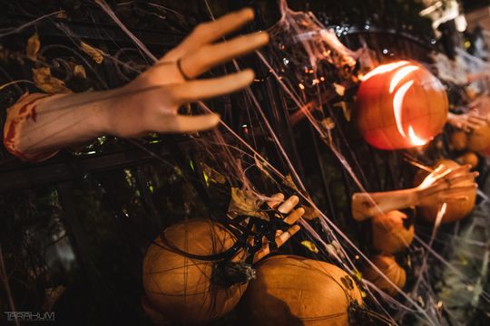 Willa Kirsch przez lata z okazji Halloween i Bożego Narodzenia