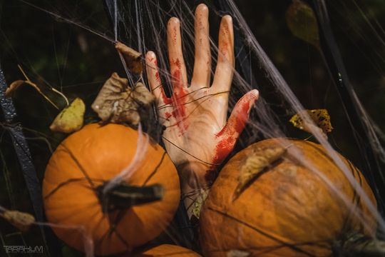 Willa Kirsch przez lata z okazji Halloween i Bożego Narodzenia