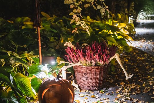 Willa Kirsch przez lata z okazji Halloween i Bożego Narodzenia