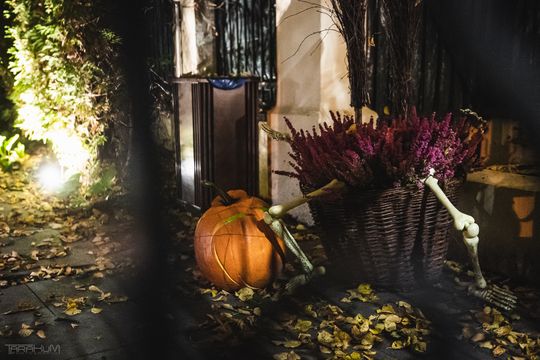 Willa Kirsch przez lata z okazji Halloween i Bożego Narodzenia