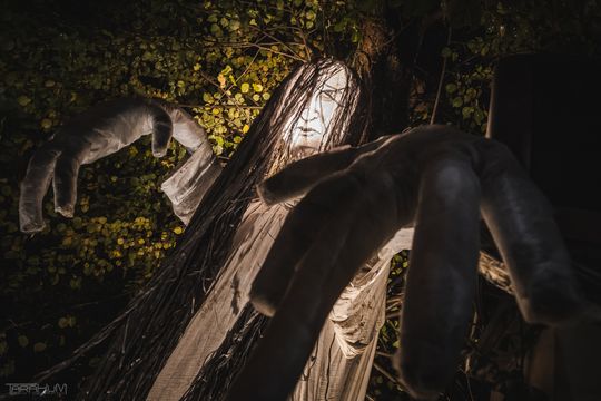 Willa Kirsch przez lata z okazji Halloween i Bożego Narodzenia