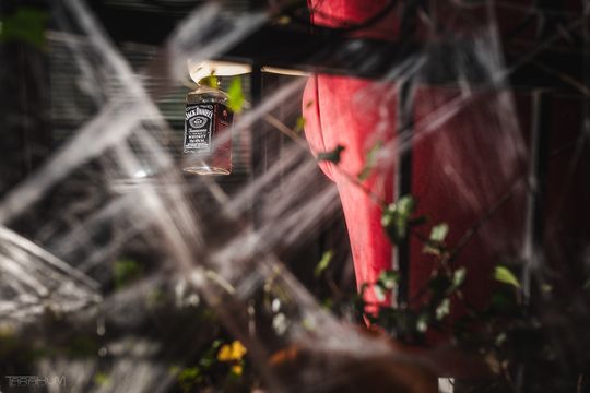 Willa Kirsch przez lata z okazji Halloween i Bożego Narodzenia