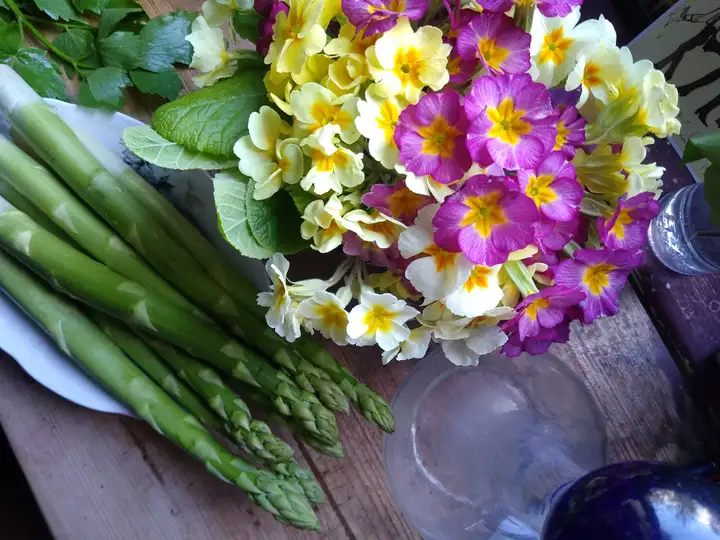 maj to sezon na szparagi