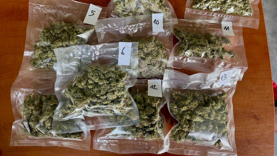 marihunana znaleziona w mieszkaniu zatrzymanego mężczyzny w Słupsku