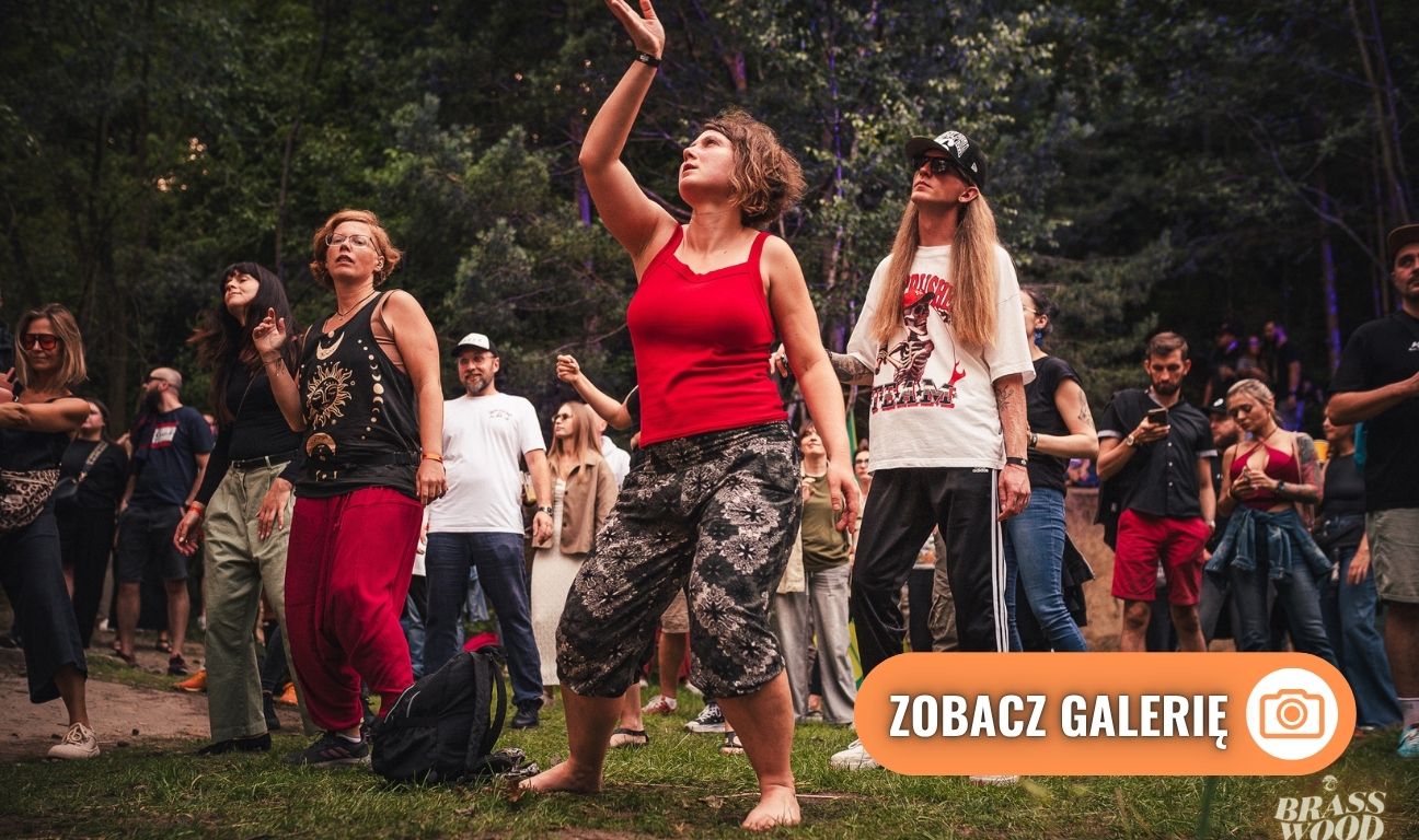 Braswood Fest 2025, dzień I, pubiczność