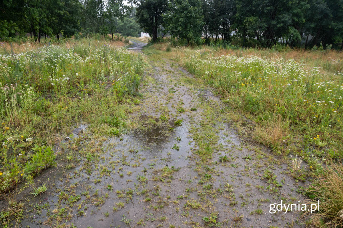 nielegalne przejście do przystanku Gdynia Grabówek